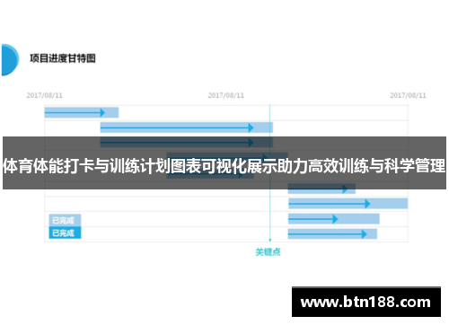体育体能打卡与训练计划图表可视化展示助力高效训练与科学管理